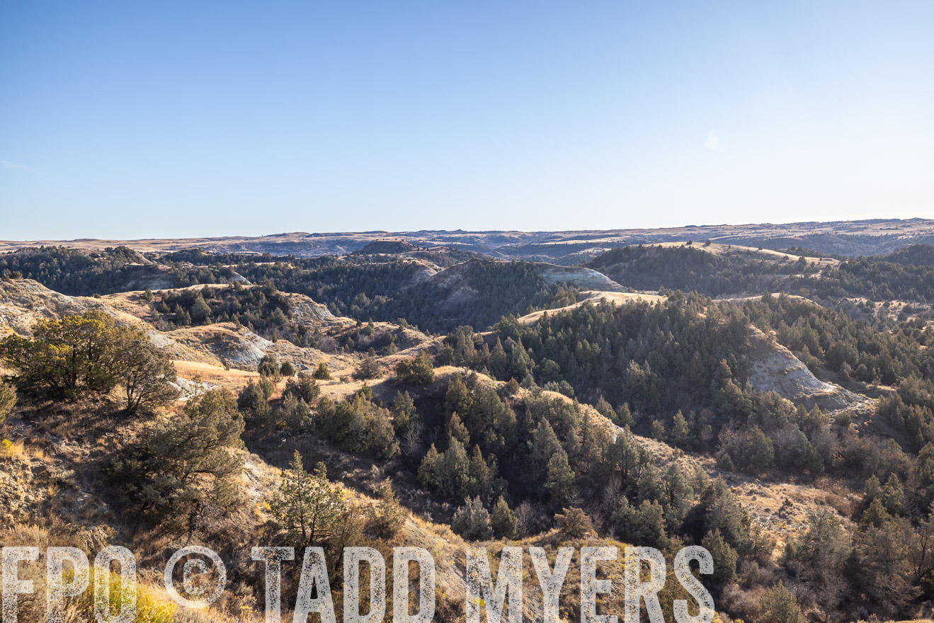 TMyers_PP_MalkowskiRanch_FairfieldND_Nov2024-517817