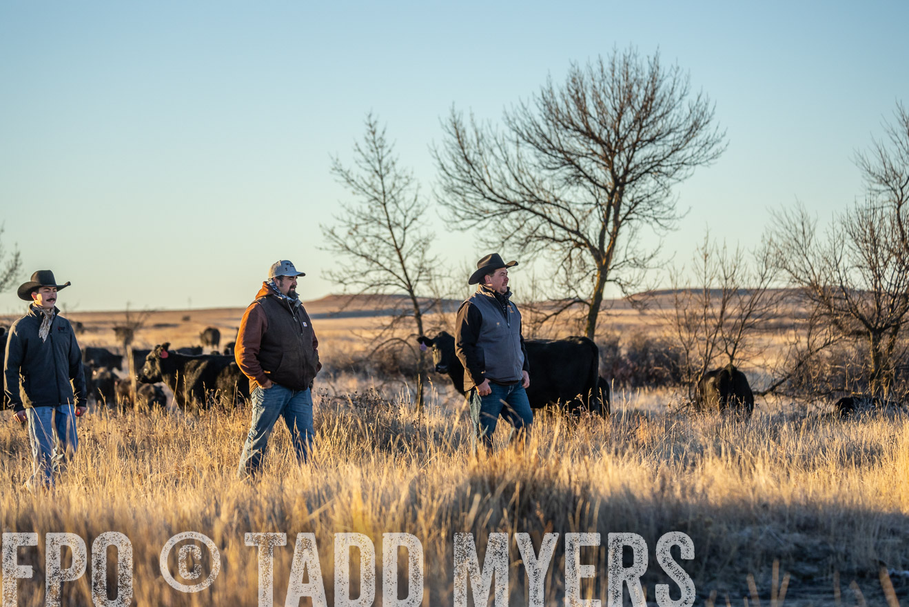 TMyers_PP_MalkowskiRanch_FairfieldND_Nov2024-524851