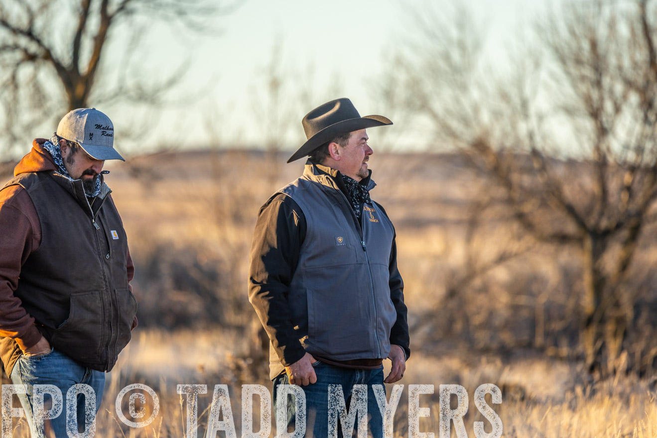 TMyers_PP_MalkowskiRanch_FairfieldND_Nov2024-524852