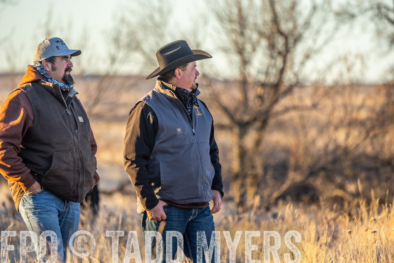 TMyers_PP_MalkowskiRanch_FairfieldND_Nov2024-524855
