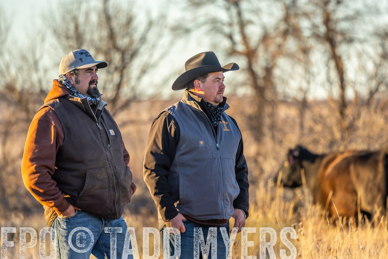 TMyers_PP_MalkowskiRanch_FairfieldND_Nov2024-524862