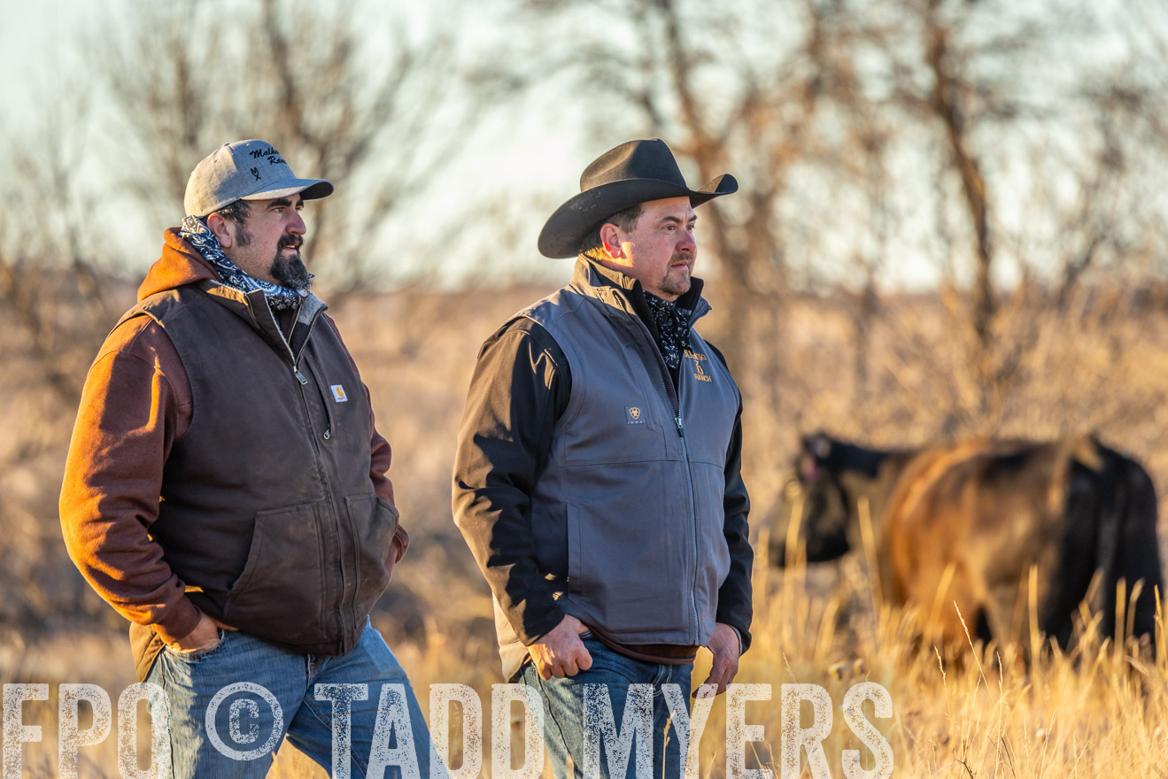 TMyers_PP_MalkowskiRanch_FairfieldND_Nov2024-524864