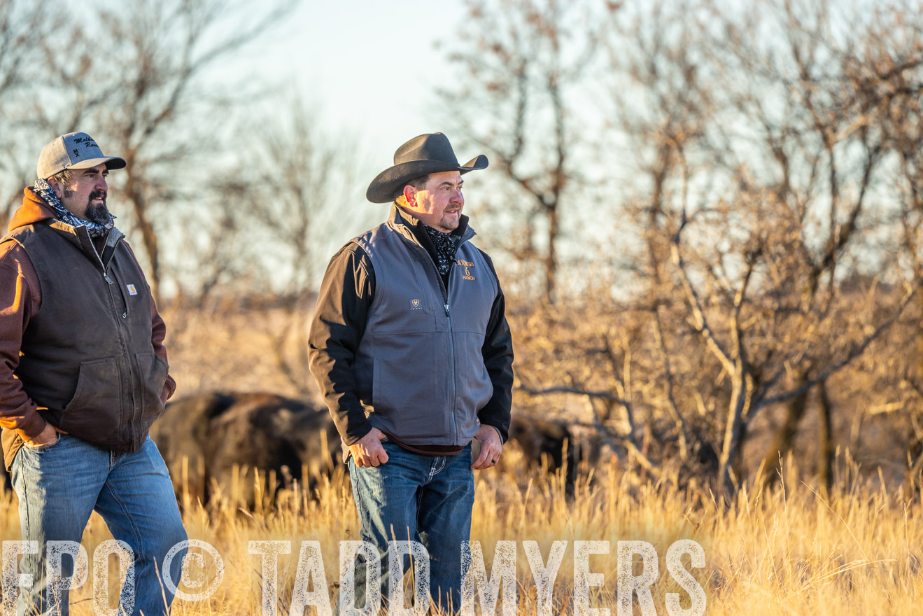 TMyers_PP_MalkowskiRanch_FairfieldND_Nov2024-524866