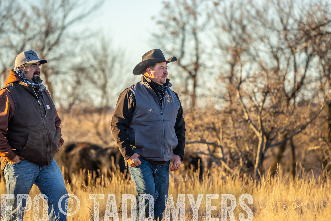 TMyers_PP_MalkowskiRanch_FairfieldND_Nov2024-524867