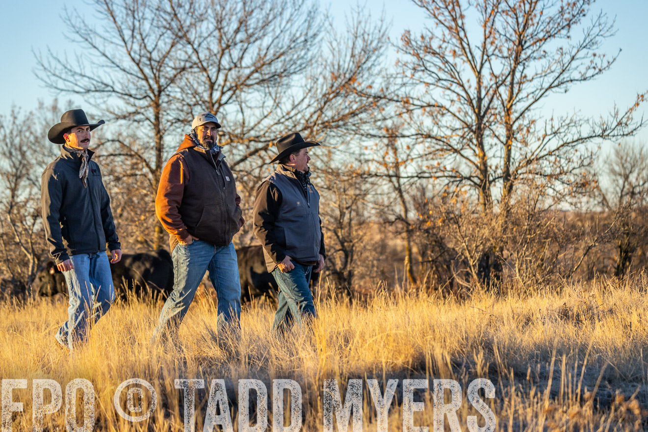 TMyers_PP_MalkowskiRanch_FairfieldND_Nov2024-524871