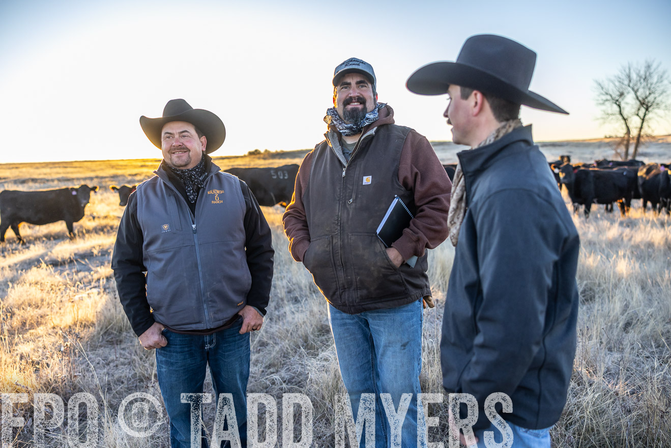 TMyers_PP_MalkowskiRanch_FairfieldND_Nov2024-515845