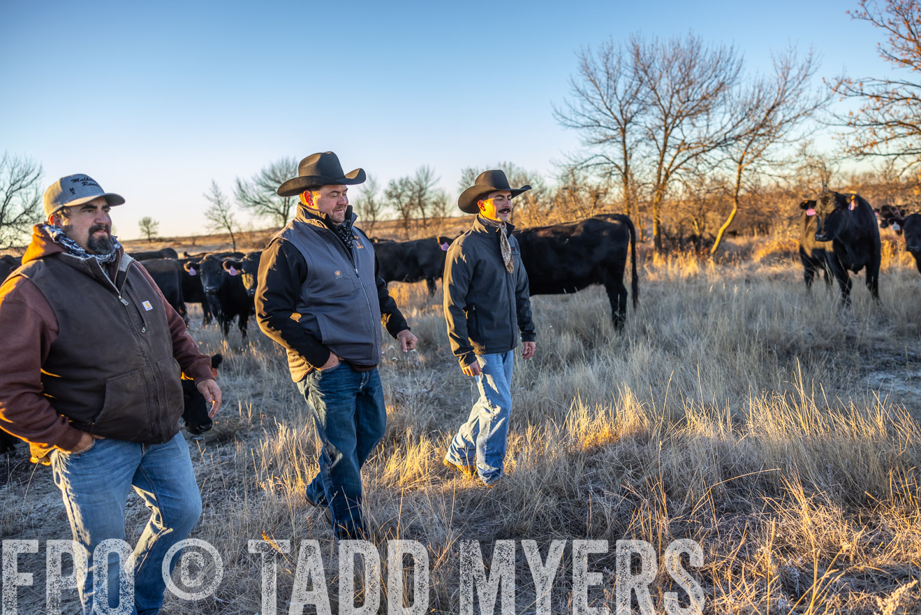 TMyers_PP_MalkowskiRanch_FairfieldND_Nov2024-515998
