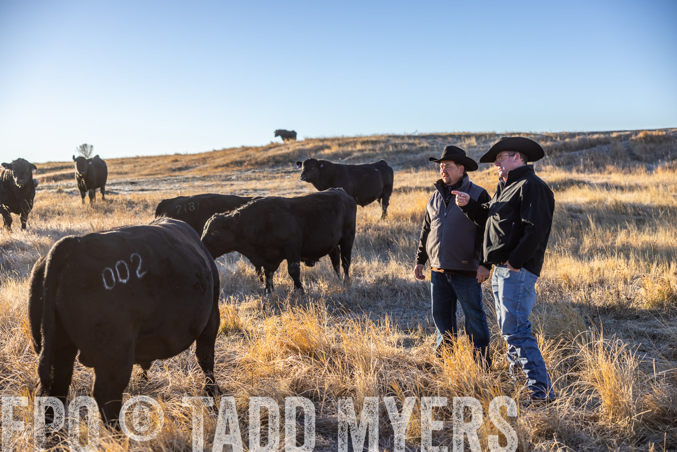 TMyers_PP_MalkowskiRanch_FairfieldND_Nov2024-516121