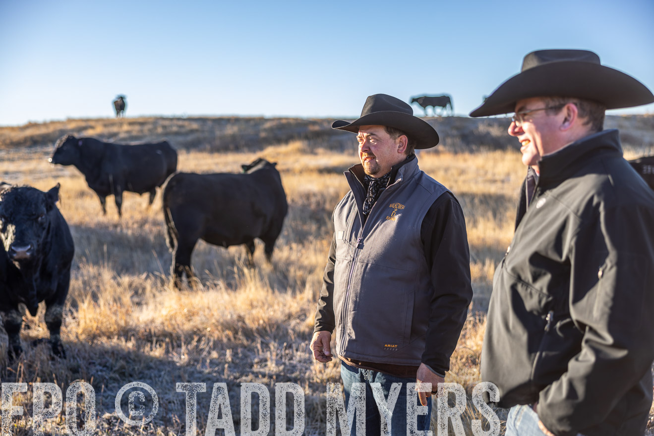 TMyers_PP_MalkowskiRanch_FairfieldND_Nov2024-516142
