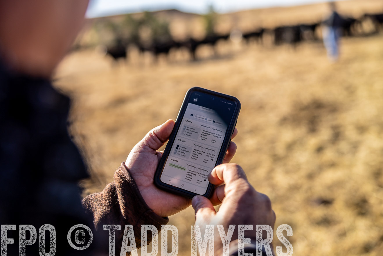 TMyers_PP_MalkowskiRanch_FairfieldND_Nov2024-517088