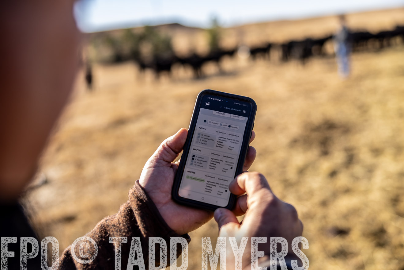 TMyers_PP_MalkowskiRanch_FairfieldND_Nov2024-517100