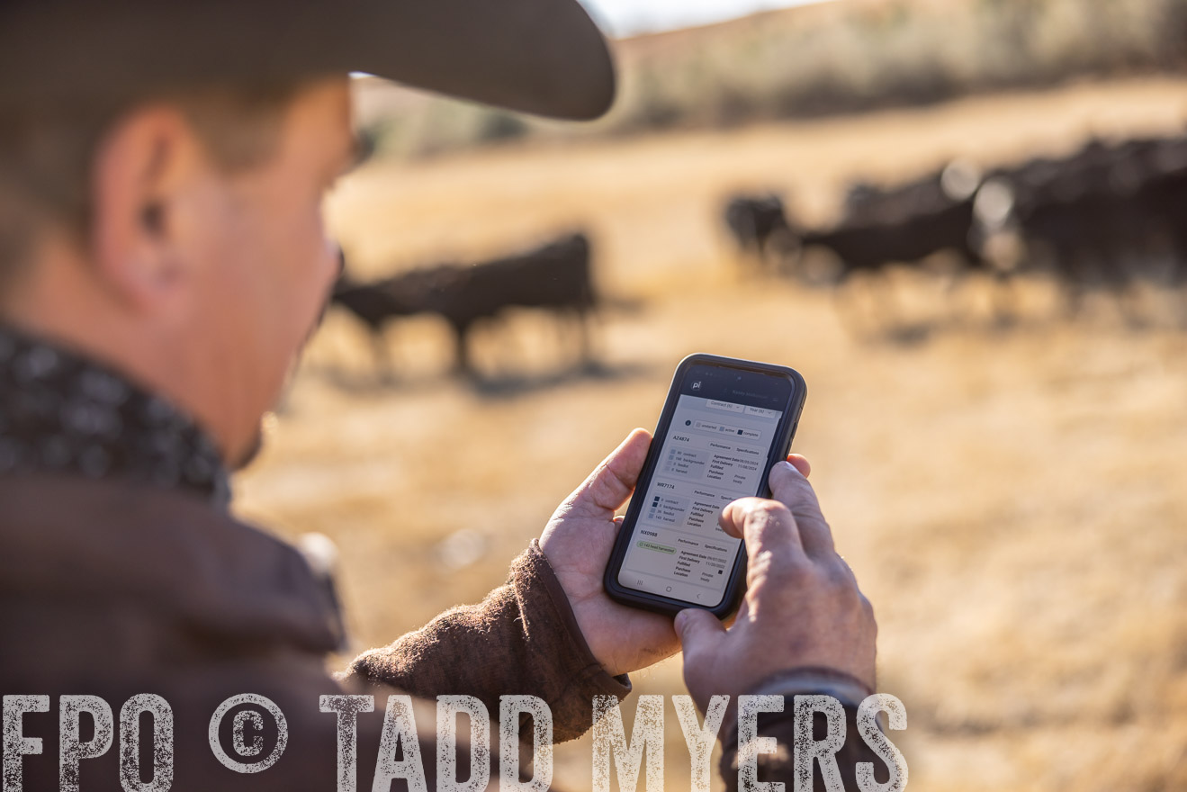 TMyers_PP_MalkowskiRanch_FairfieldND_Nov2024-517187