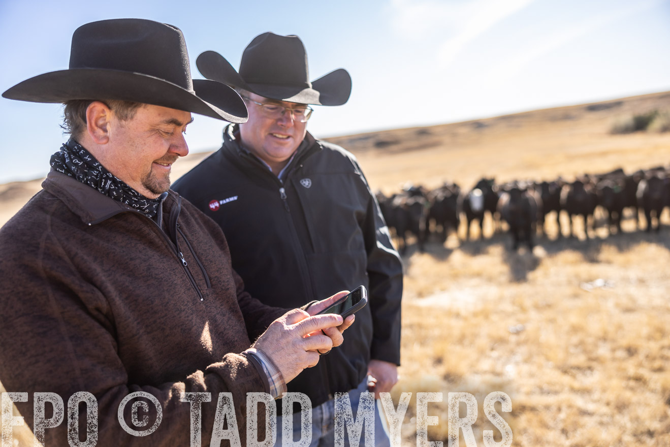TMyers_PP_MalkowskiRanch_FairfieldND_Nov2024-517383