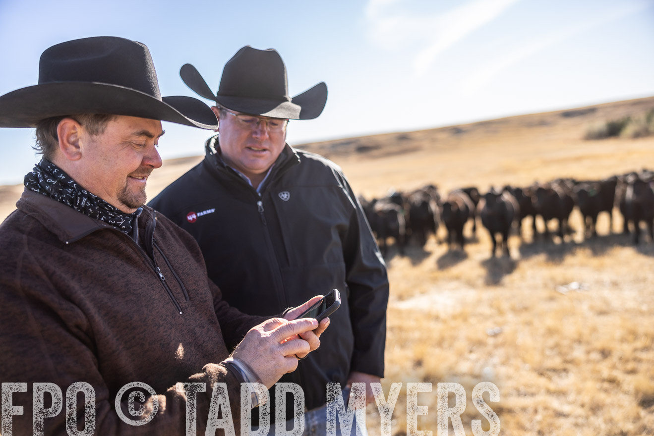 TMyers_PP_MalkowskiRanch_FairfieldND_Nov2024-517416