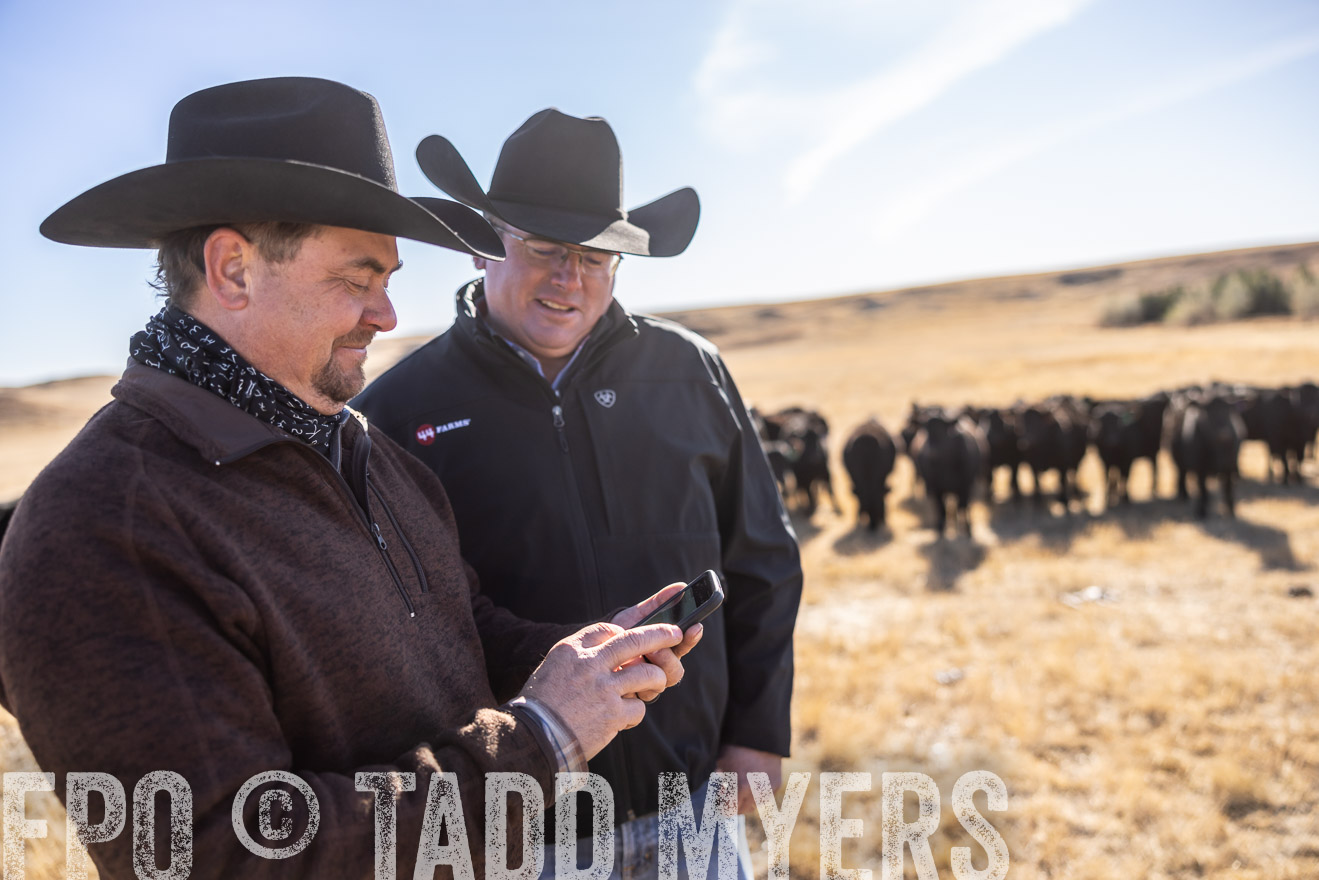 TMyers_PP_MalkowskiRanch_FairfieldND_Nov2024-517448