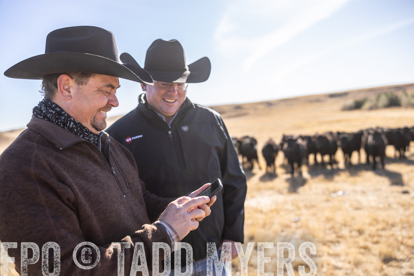 TMyers_PP_MalkowskiRanch_FairfieldND_Nov2024-517467