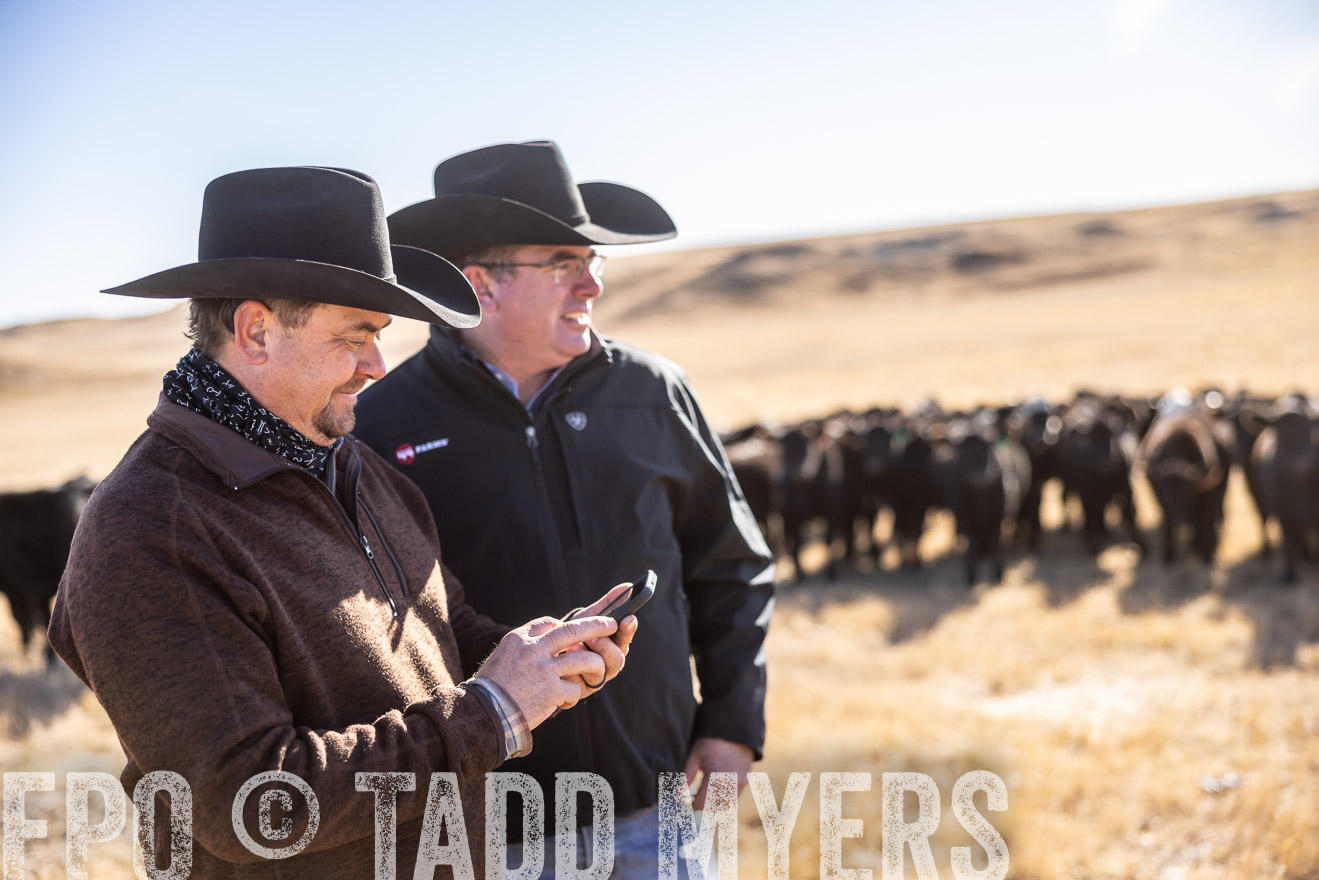 TMyers_PP_MalkowskiRanch_FairfieldND_Nov2024-517533