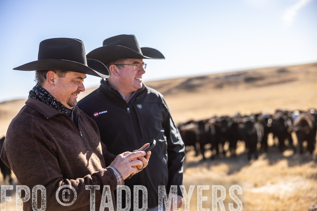 TMyers_PP_MalkowskiRanch_FairfieldND_Nov2024-517608