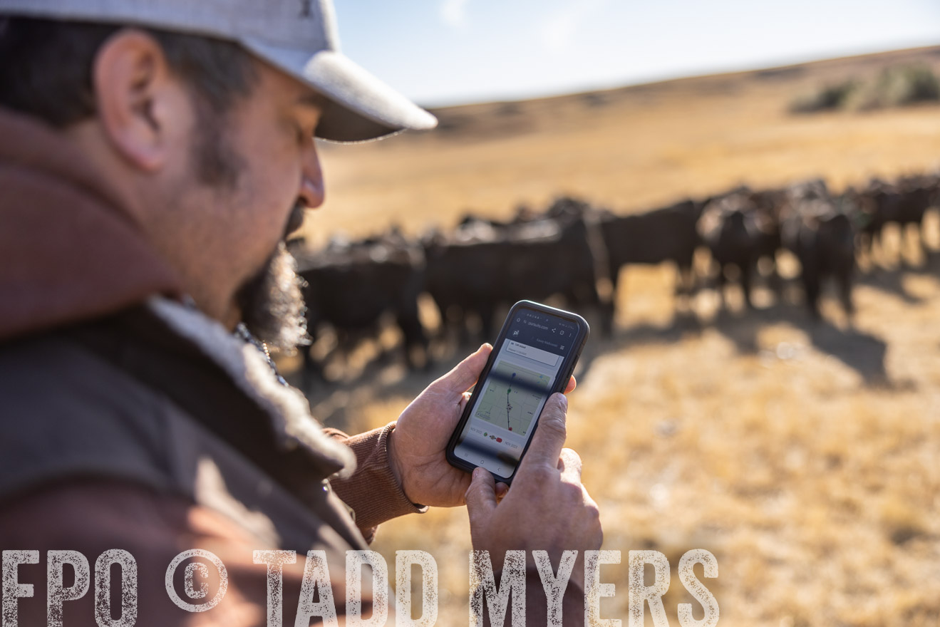 TMyers_PP_MalkowskiRanch_FairfieldND_Nov2024-517659