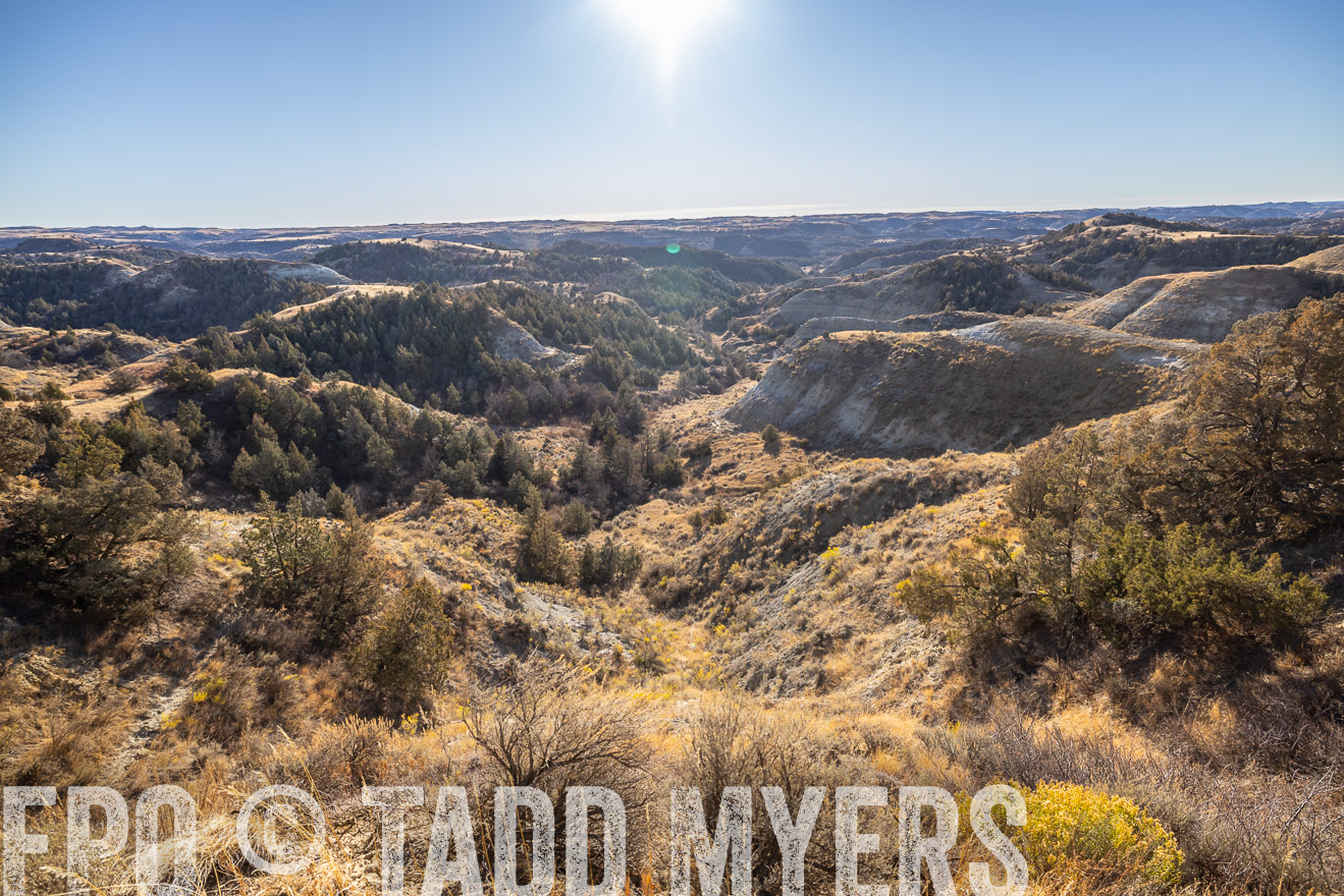 TMyers_PP_MalkowskiRanch_FairfieldND_Nov2024-517740
