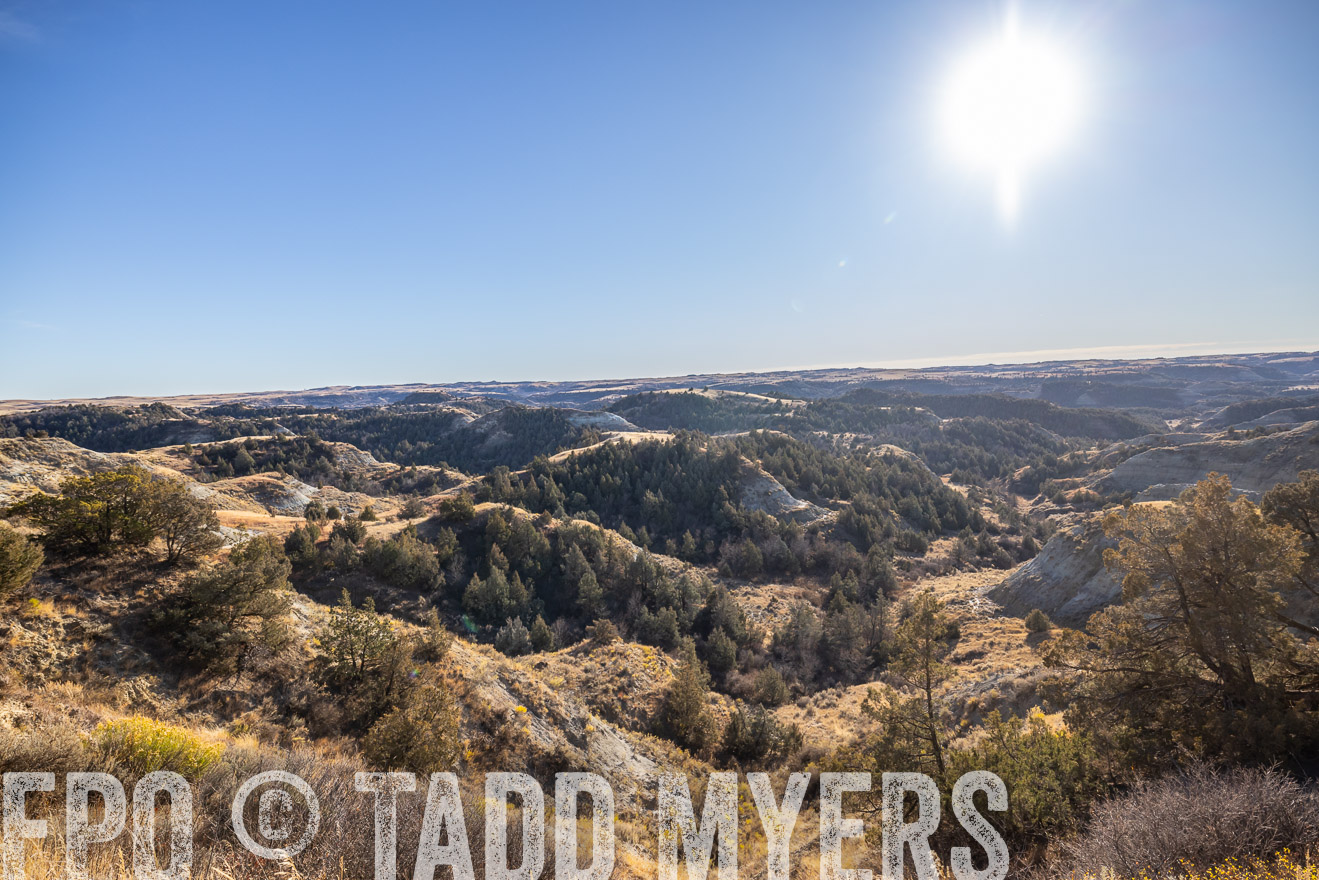 TMyers_PP_MalkowskiRanch_FairfieldND_Nov2024-517812