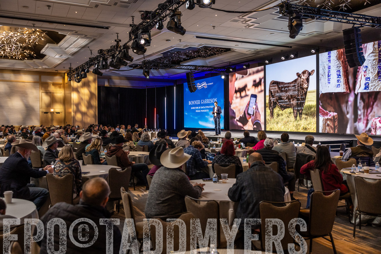 TMyers_PP_Summit_Scottsdale_Jan2025-515895