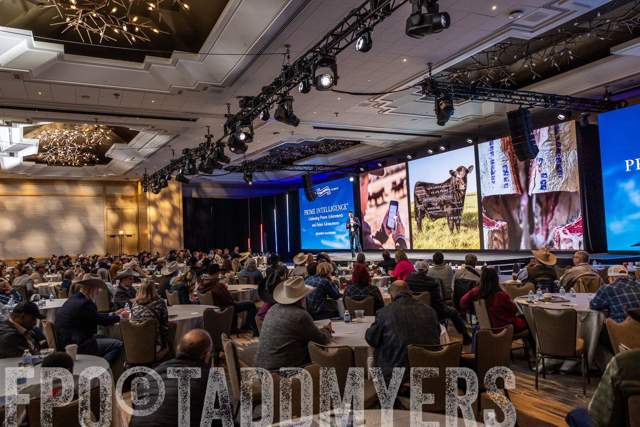 TMyers_PP_Summit_Scottsdale_Jan2025-515905