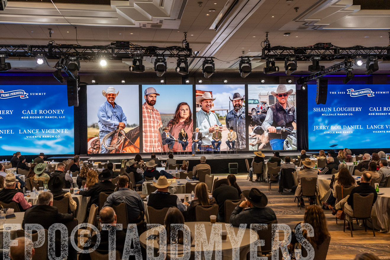 TMyers_PP_Summit_Scottsdale_Jan2025-515920
