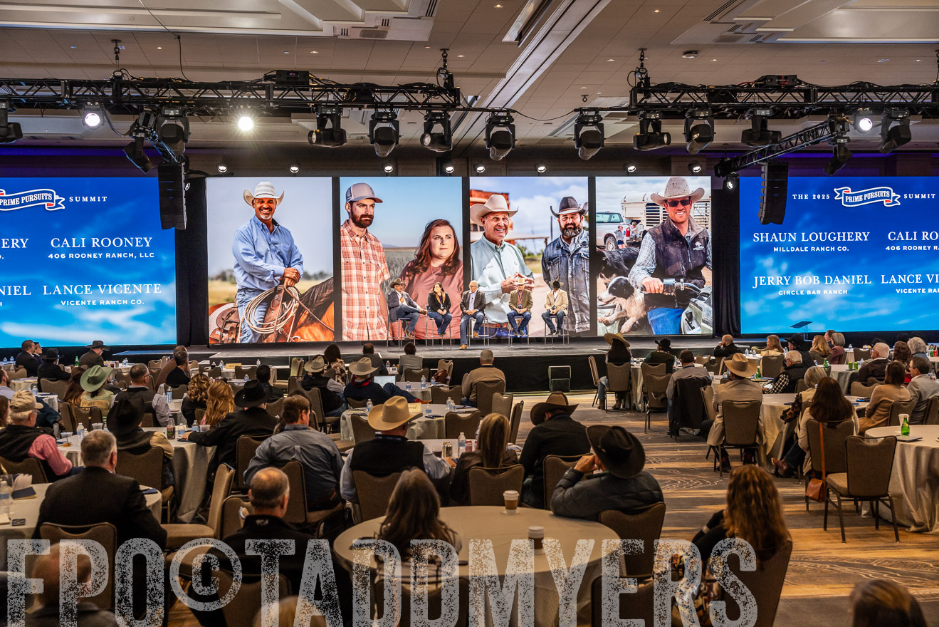 TMyers_PP_Summit_Scottsdale_Jan2025-515926