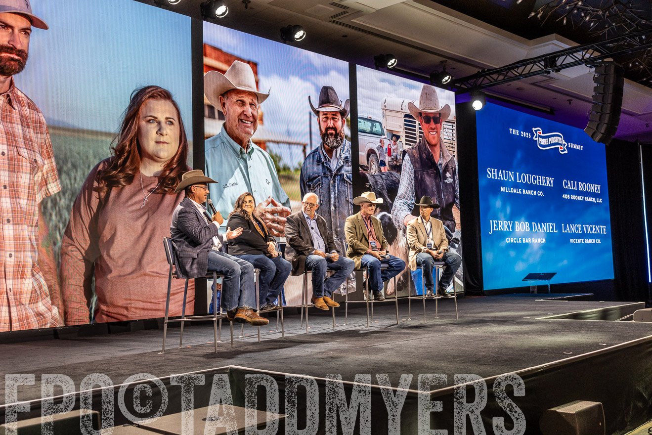 TMyers_PP_Summit_Scottsdale_Jan2025-515978