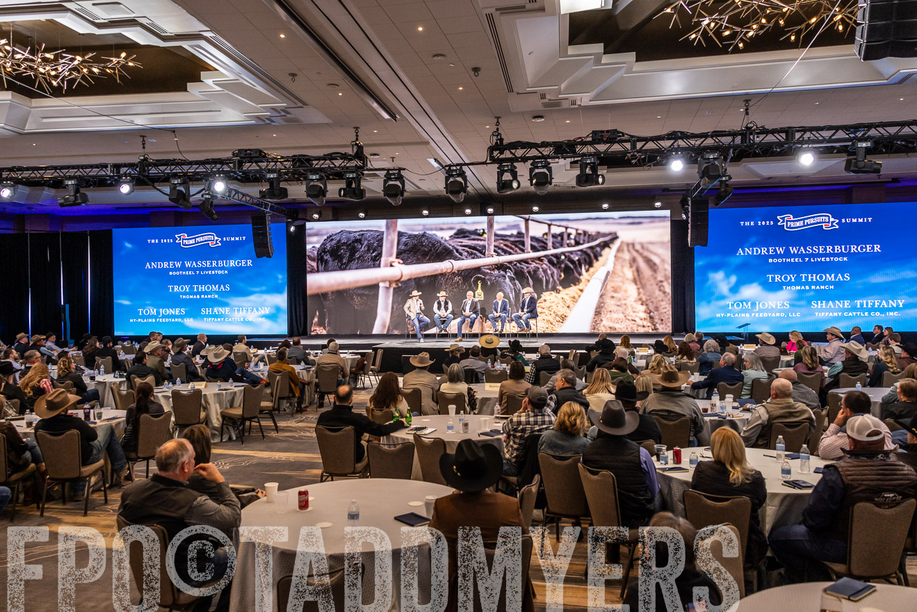 TMyers_PP_Summit_Scottsdale_Jan2025-516030