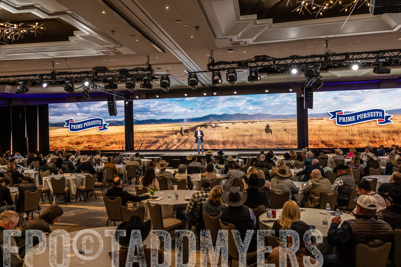 TMyers_PP_Summit_Scottsdale_Jan2025-516046