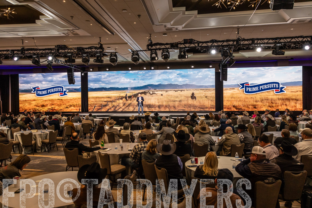 TMyers_PP_Summit_Scottsdale_Jan2025-516059