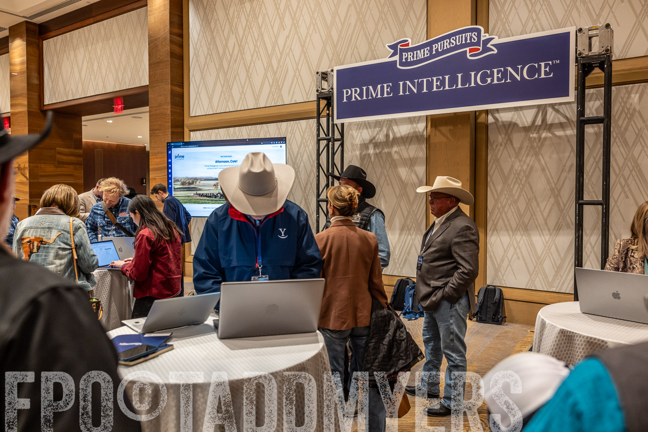 TMyers_PP_Summit_Scottsdale_Jan2025-516154