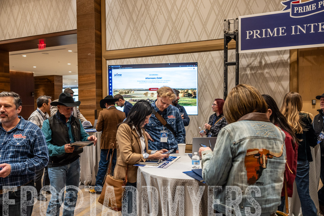 TMyers_PP_Summit_Scottsdale_Jan2025-516157