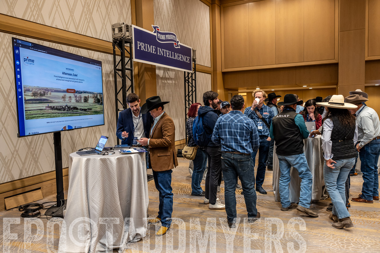 TMyers_PP_Summit_Scottsdale_Jan2025-516224