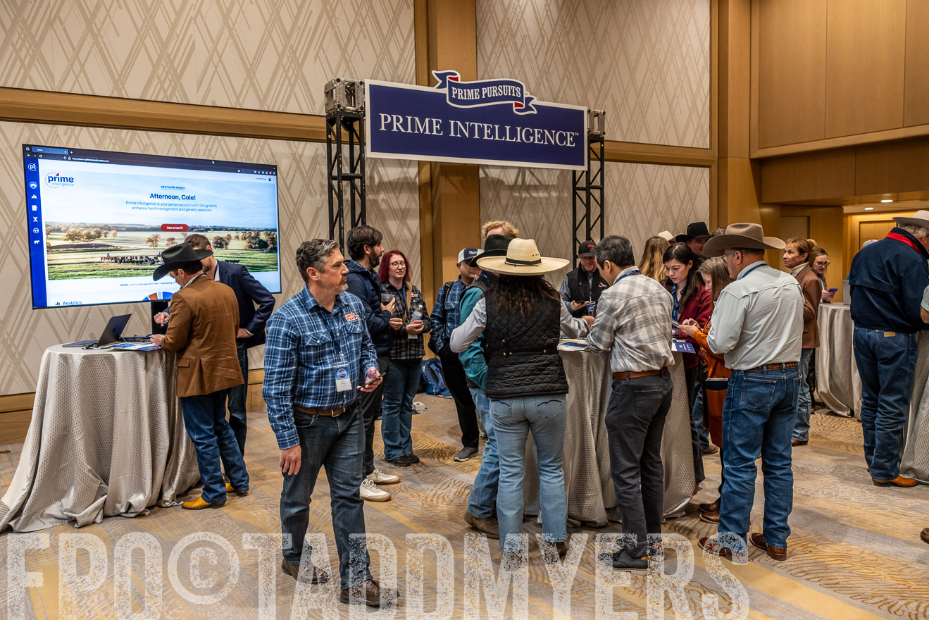 TMyers_PP_Summit_Scottsdale_Jan2025-516226