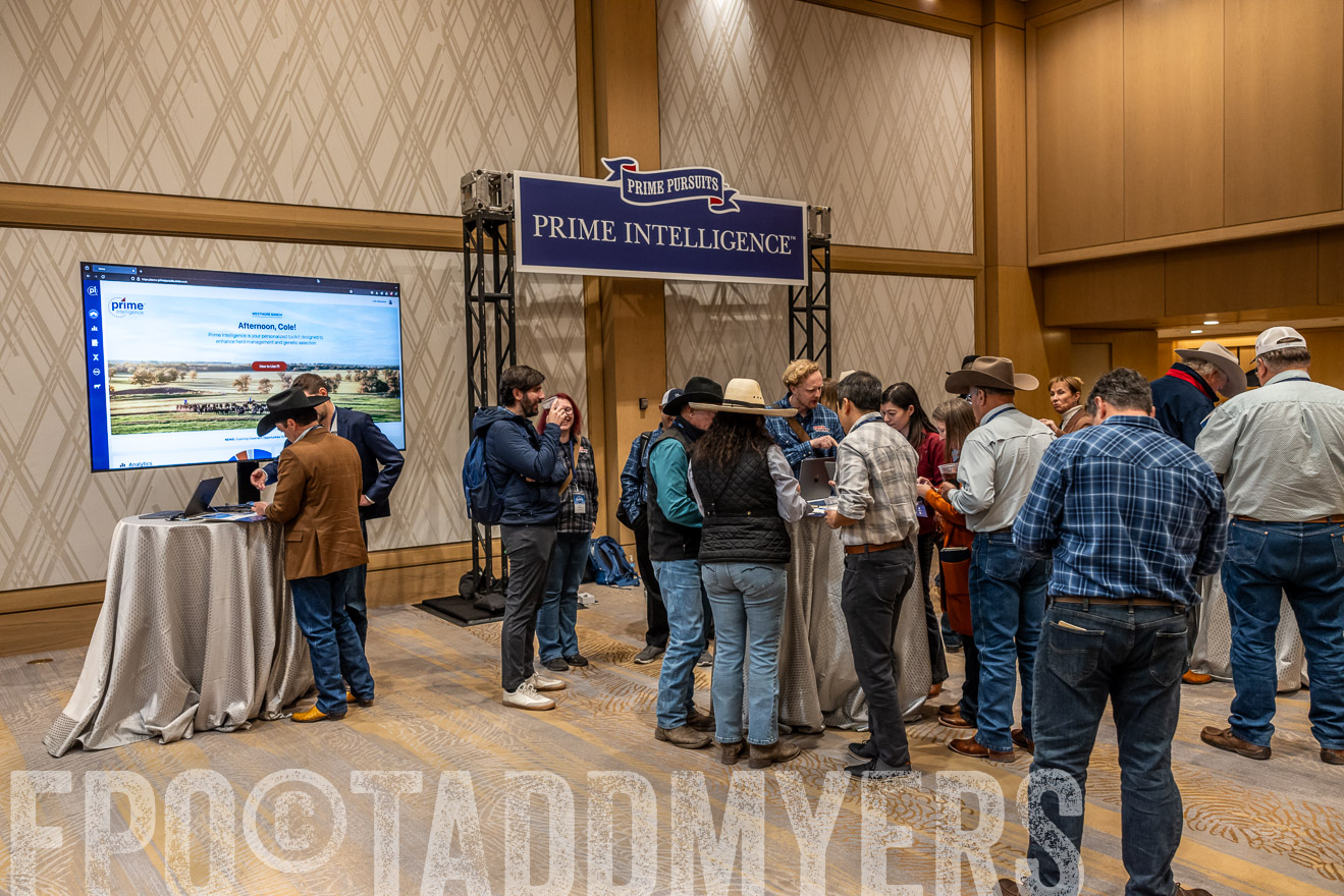 TMyers_PP_Summit_Scottsdale_Jan2025-516231