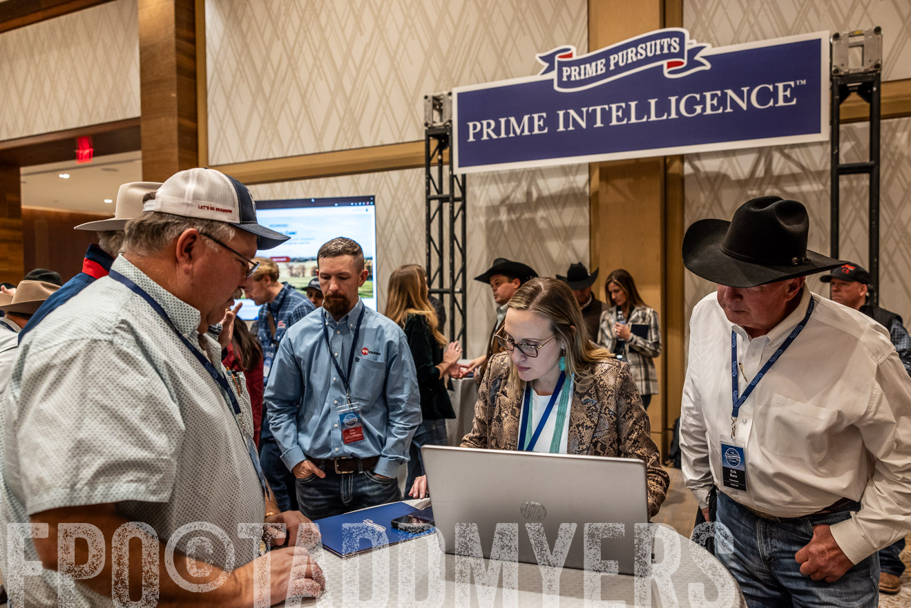 TMyers_PP_Summit_Scottsdale_Jan2025-516293
