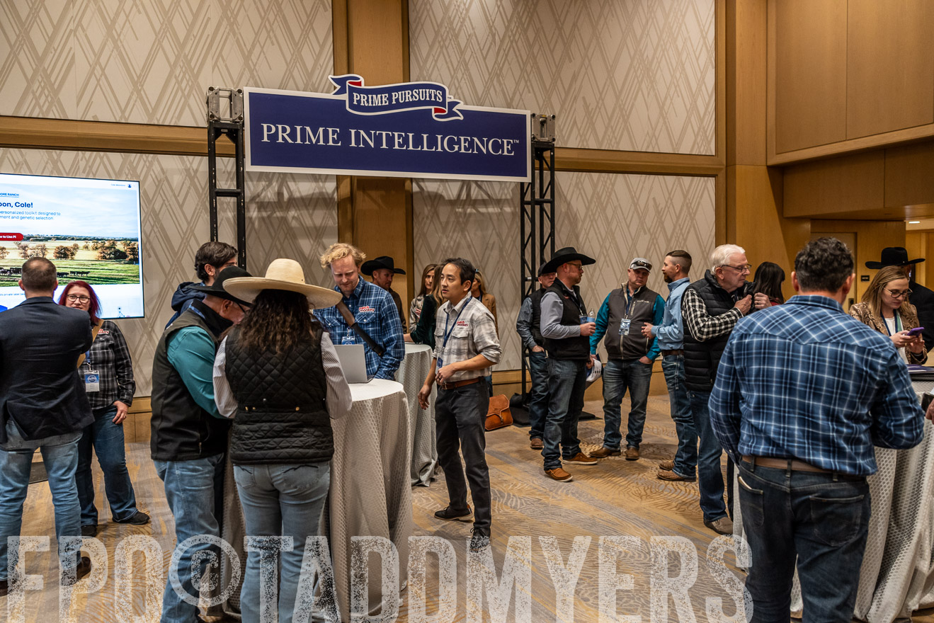 TMyers_PP_Summit_Scottsdale_Jan2025-516336