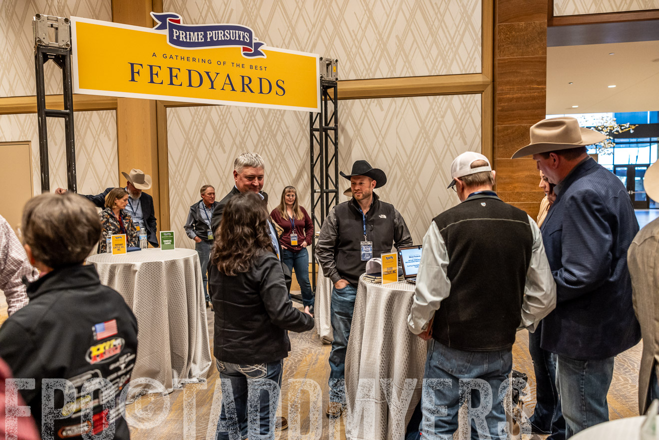 TMyers_PP_Summit_Scottsdale_Jan2025-516342