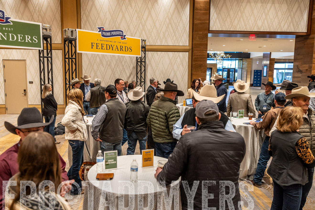 TMyers_PP_Summit_Scottsdale_Jan2025-516349