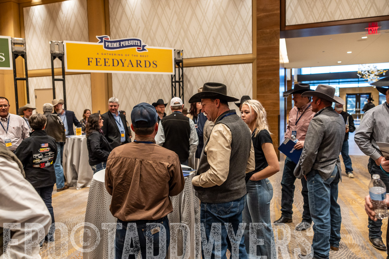 TMyers_PP_Summit_Scottsdale_Jan2025-516367