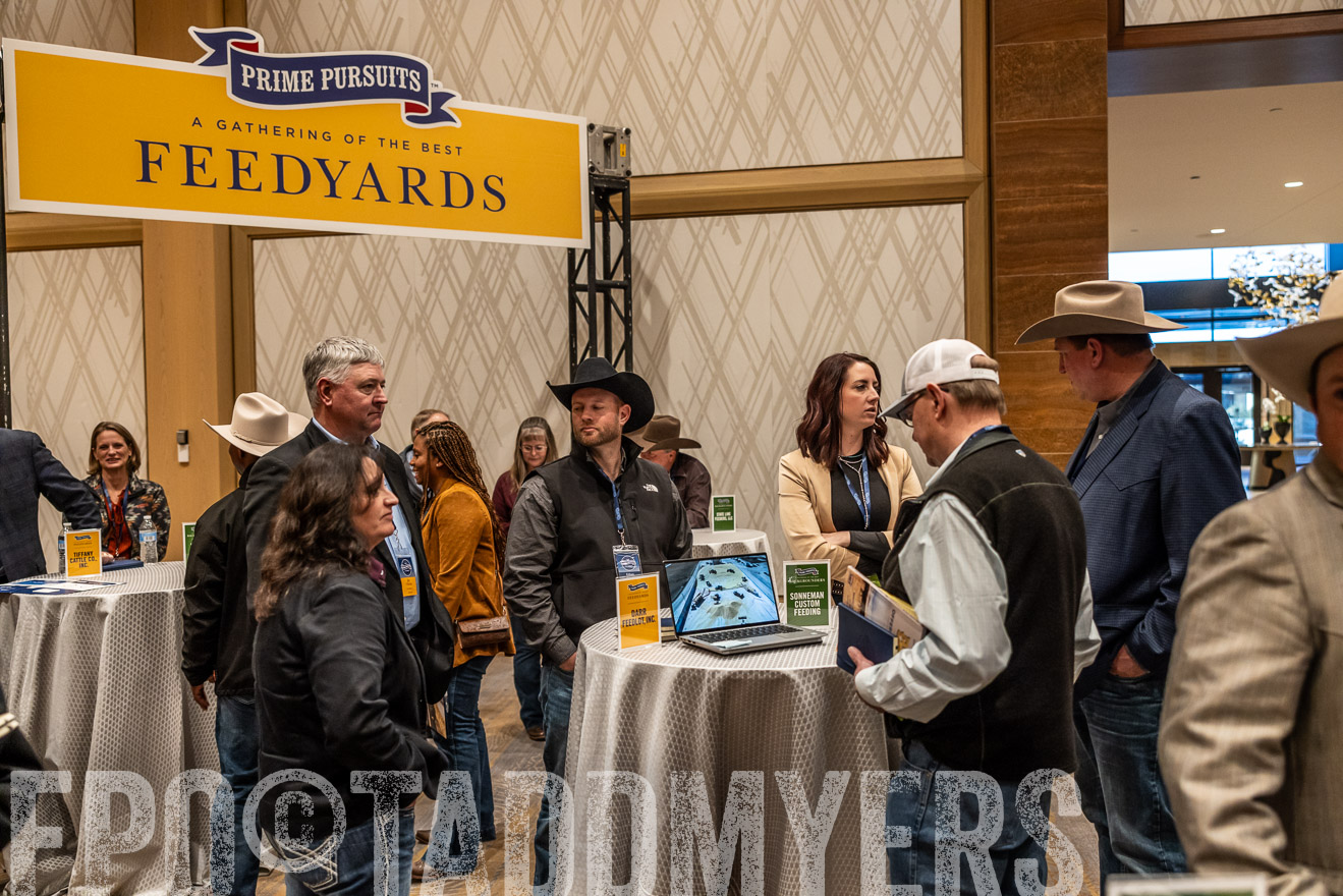 TMyers_PP_Summit_Scottsdale_Jan2025-516372