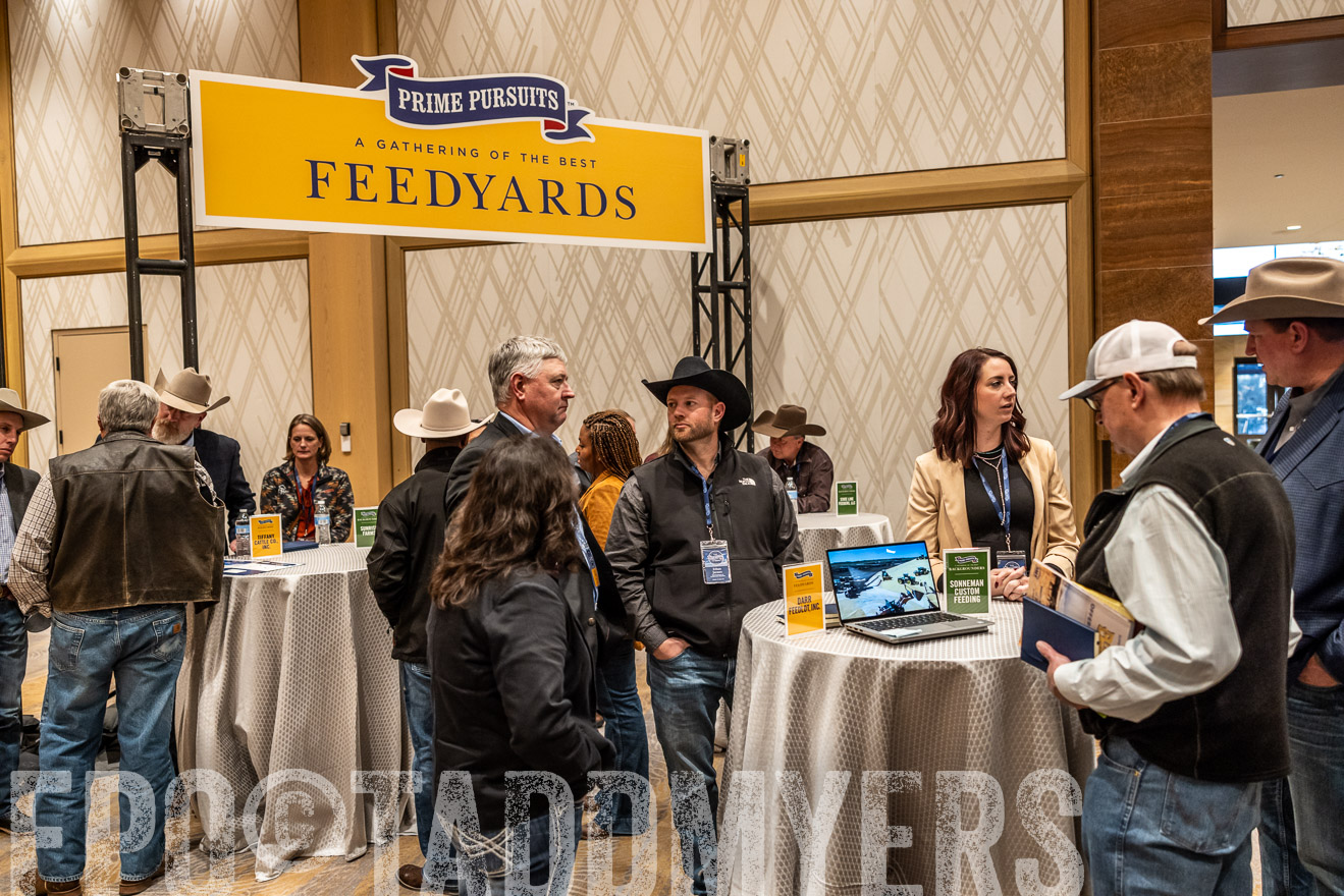 TMyers_PP_Summit_Scottsdale_Jan2025-516379
