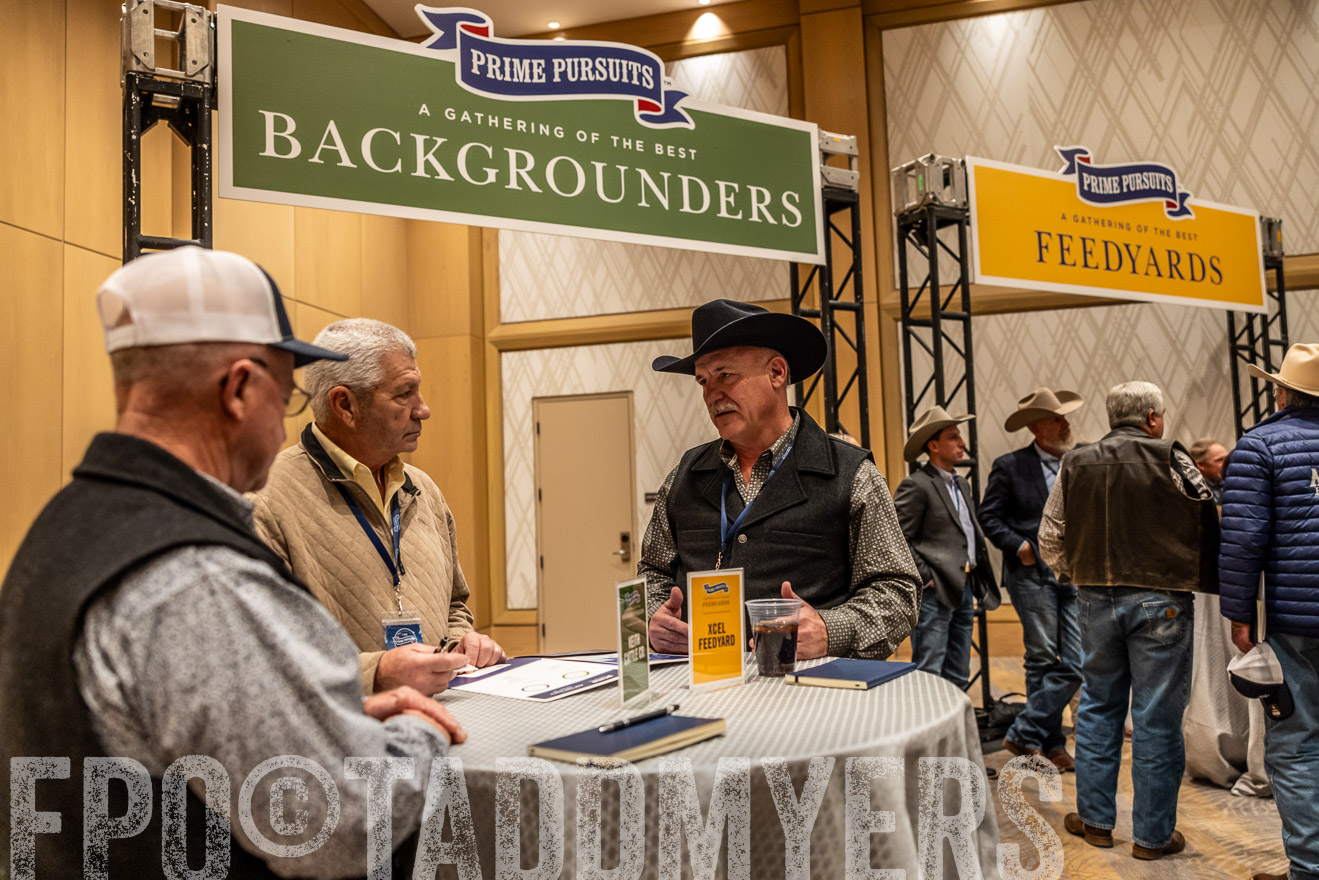 TMyers_PP_Summit_Scottsdale_Jan2025-516422