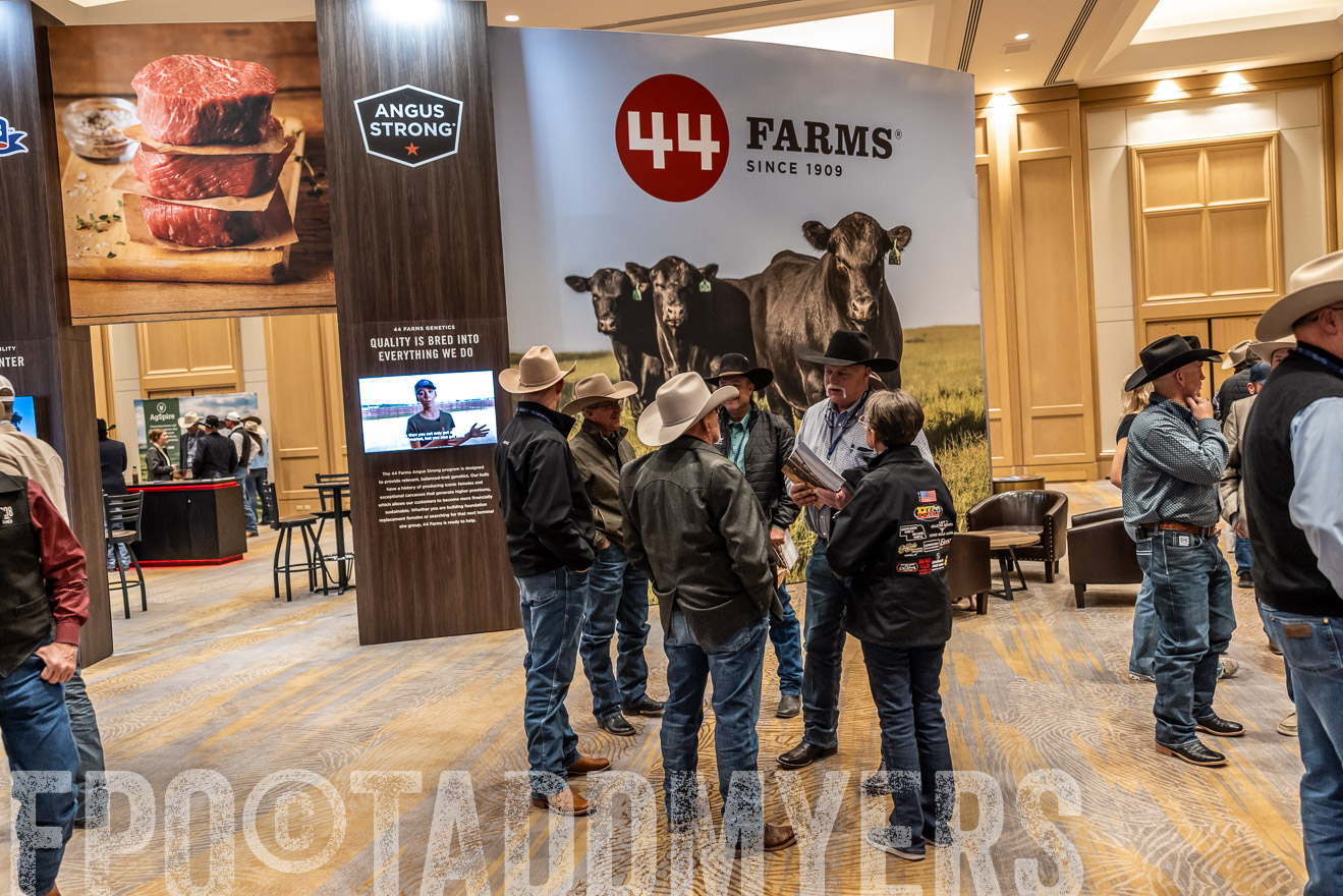TMyers_PP_Summit_Scottsdale_Jan2025-516458
