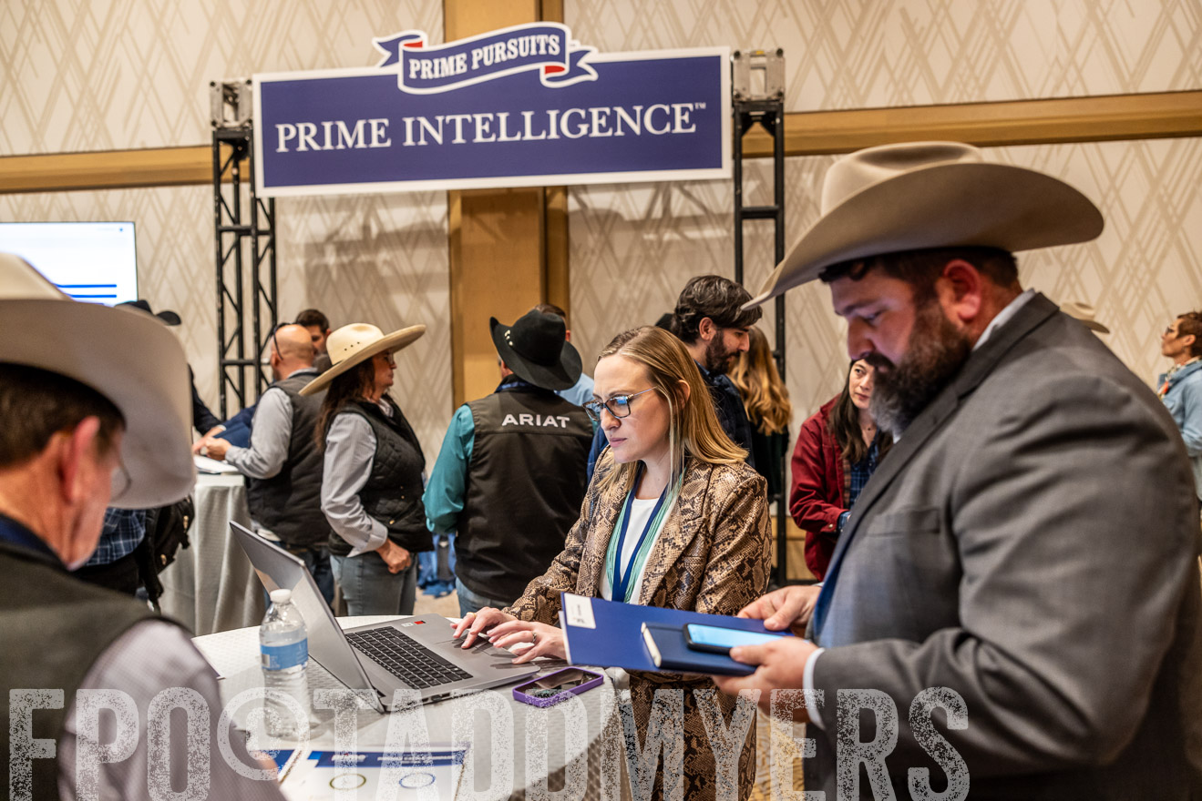 TMyers_PP_Summit_Scottsdale_Jan2025-516554