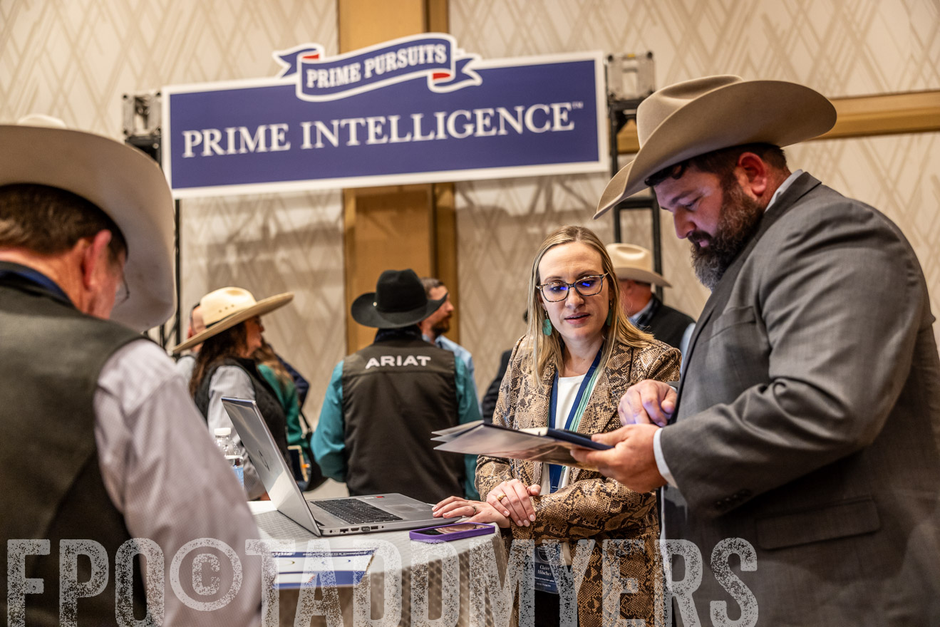 TMyers_PP_Summit_Scottsdale_Jan2025-516582