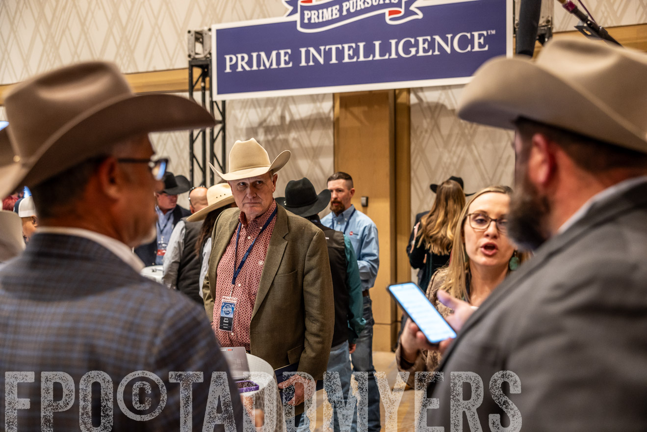 TMyers_PP_Summit_Scottsdale_Jan2025-516614